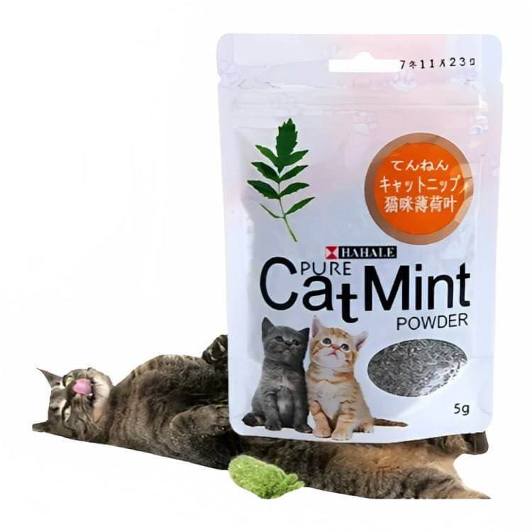 Cat Mint Powder 5g – Pure Catnip Powder for Cats