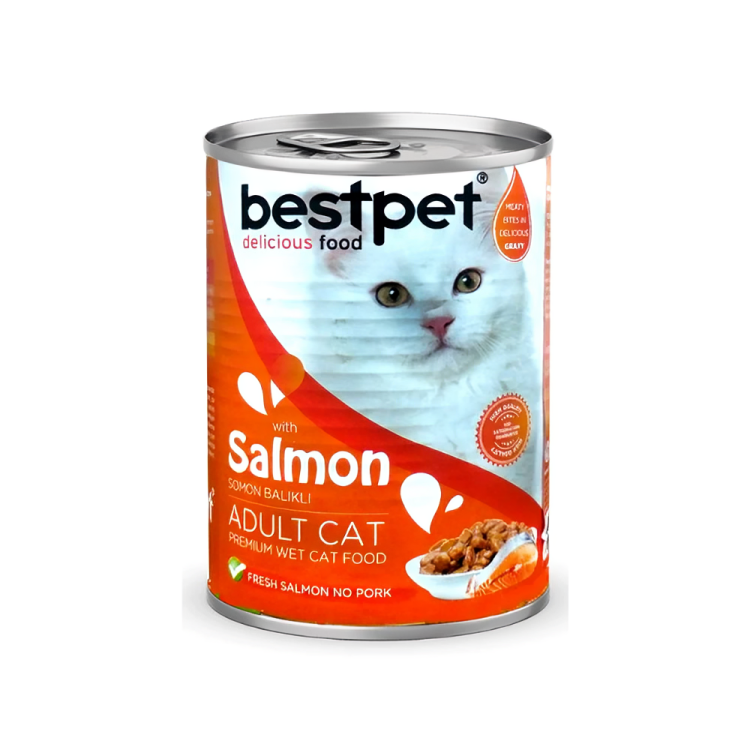 Bestpet Wet Cat Food with Salmon 400g – Pet City Shop
